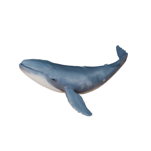 Beluga Whale 3D Model for Blender - PBR Asset with Textures