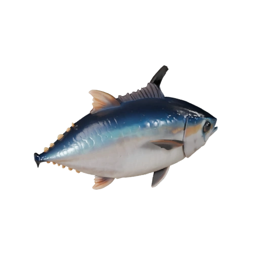 Tuna 3D Model for Unity - Game Ready Asset, FBX | Royalty-Free