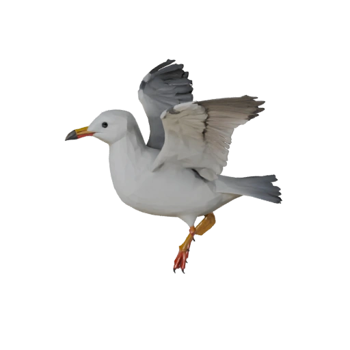 Low Poly Seagull 3D Model - Unity Game Asset with FBX | Royalty-Free