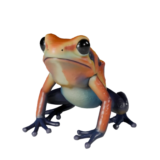 Realistic Poison Dart Frog 3D Model - Rigged PBR Asset for Games