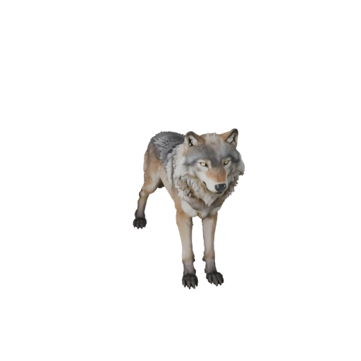 Arctic Wolf 3D Model for Unity - Game Ready Asset, FBX | PBR