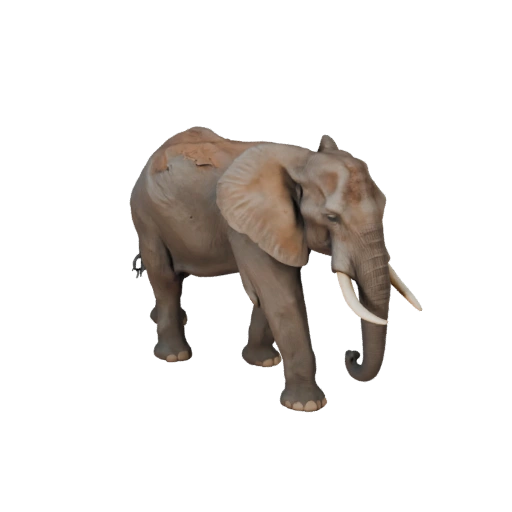 African Elephant 3D Model for Unity - Game Ready Asset, FBX