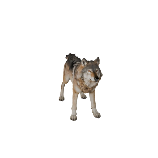 نموذج ذئب ثلاثي الأبعاد لوحدة Unity - أصل جاهز للعبة، FBX | مجاني للاستخدام