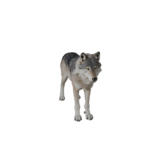 Realistic Arctic Wolf 3D Model - Rigged PBR Asset for Games
