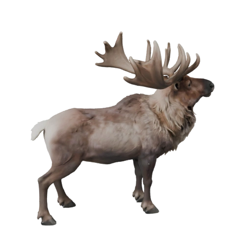 Caribou 3D Model for Unity - Game Ready Asset, FBX | Royalty-Free