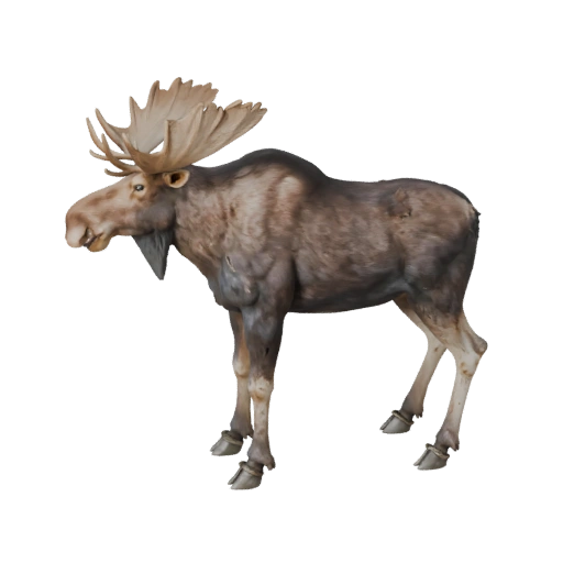 Modèle 3D d'élan réaliste - Asset PBR riggé pour les jeux | Libre de droits