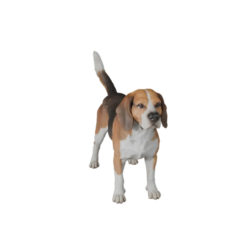 Realistic Beagle Dog 3D Model - Rigged PBR Asset for Games
