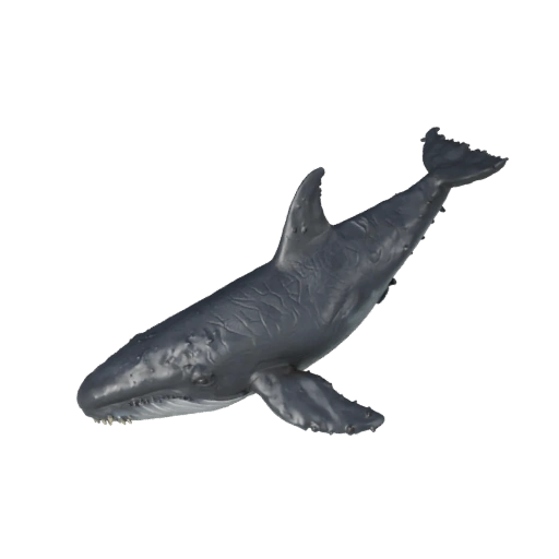Killer Whale 3D Model for Unity - Game Ready Asset, FBX | PBR