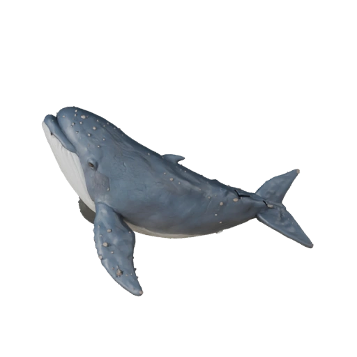 Cartoon Beluga Whale 3D Model - Stylized Asset for Animation