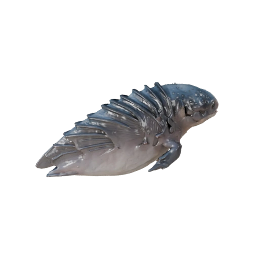 Orca 3D Model for Blender - PBR Asset with Textures | Royalty-Free