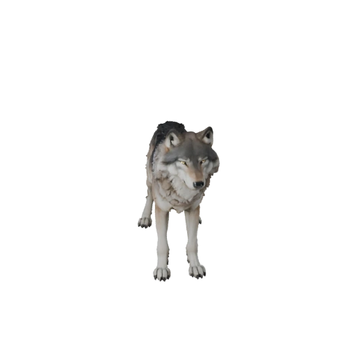 Arctic Wolf 3D Model for Blender - PBR Asset with Textures