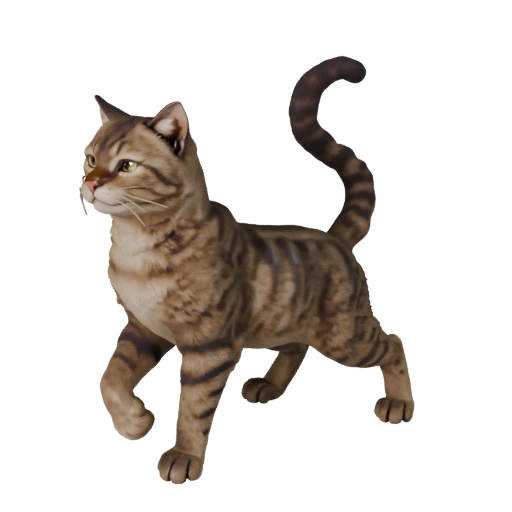 Realistic Cat 3D Model - Rigged PBR Asset for Games | Royalty-Free