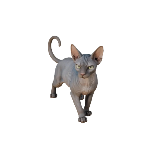 Modelo 3D Gato Sphynx para Unity - Asset Pronto para Jogo, FBX | Livre de Royalties
