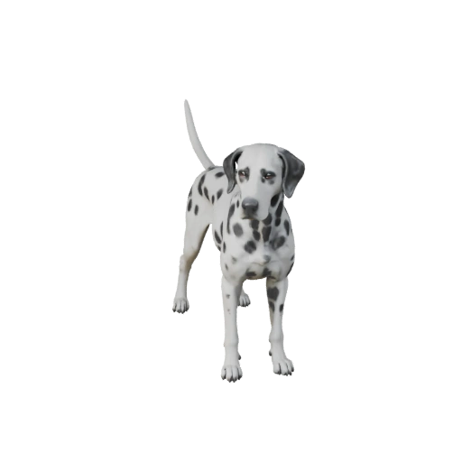 Dalmatian Dog 3D Model for Unity - Game Ready Asset, FBX | PBR