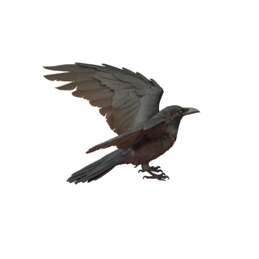 Crow 3D Model for Unity - Game Ready Asset, FBX | Royalty-Free