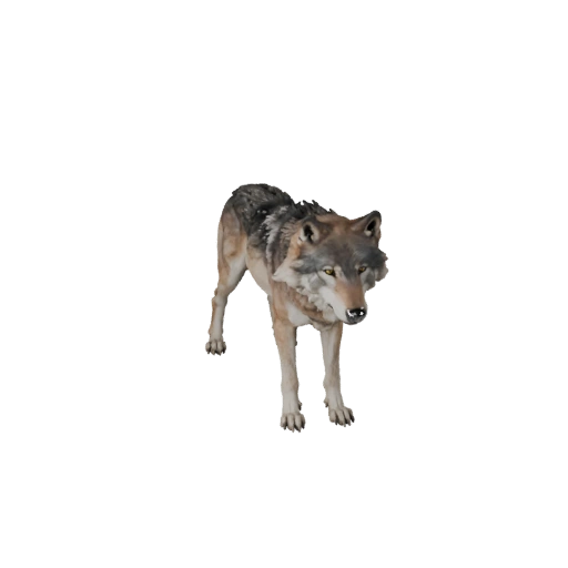 Realistischer Grauer Wolf 3D-Modell - Rigged PBR Asset für Spiele | PBR