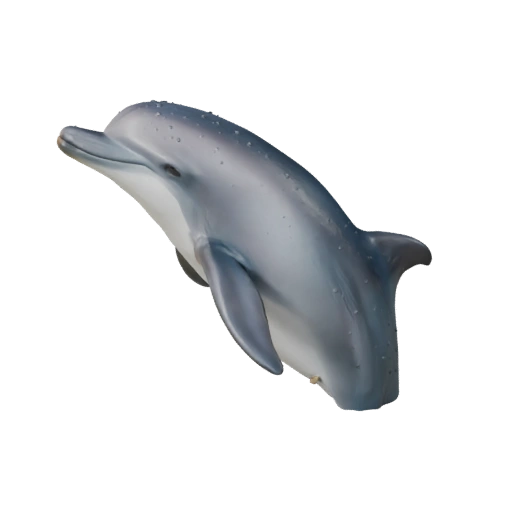 Dolphin 3D Model for Blender - PBR Asset with Textures | PBR
