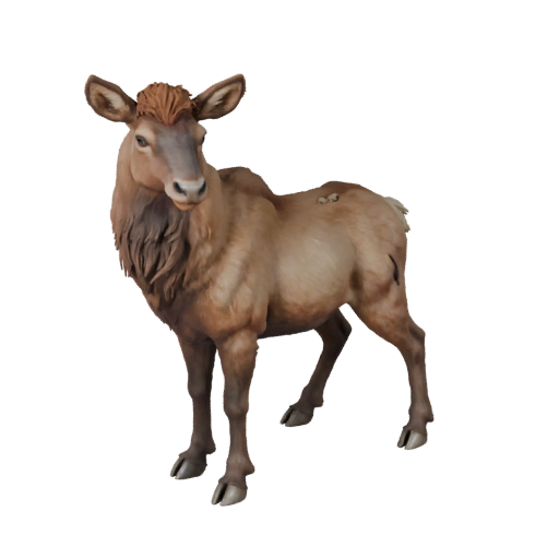 Elk 3D Model for Unity - Game Ready Asset, FBX | Royalty-Free