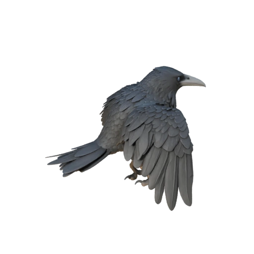 Raven 3D Model for Unity - Game Ready Asset, FBX | Royalty-Free