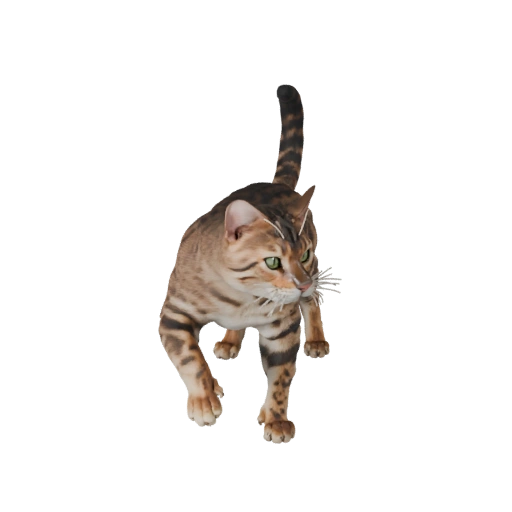 High Poly Bengal Cat 3D Model - Detailed STL Asset for Printing