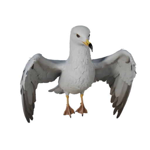 Seagull 3D Model for Blender - PBR Asset with Textures | PBR