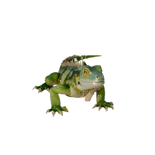 Low Poly Iguana 3D Model - Unity Game Asset with FBX | Royalty-Free