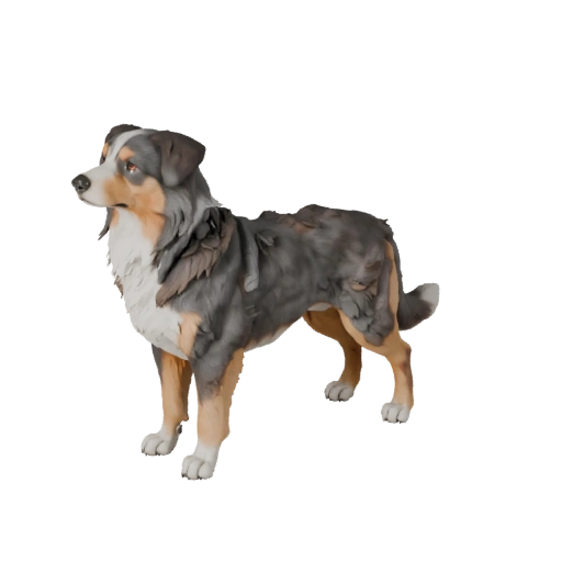 Australian Shepherd Dog 3D Model for Blender - PBR Asset | PBR