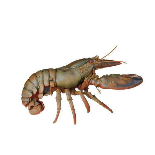 Realistic Lobster 3D Model - Rigged PBR Asset for Games | PBR