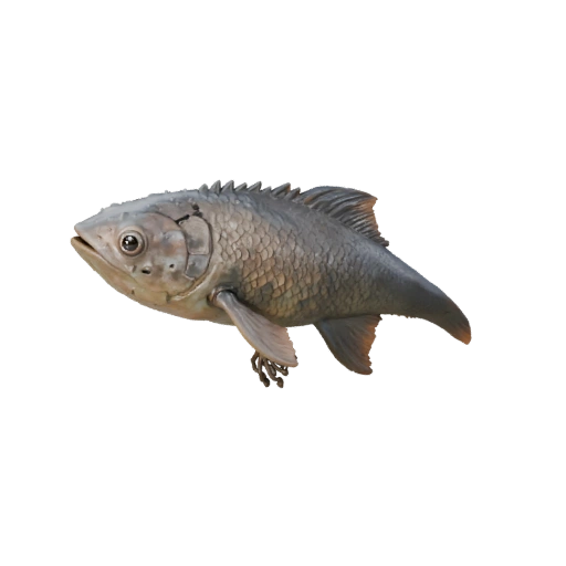 Orca 3D Model for Unity - Game Ready Asset, FBX | Royalty-Free