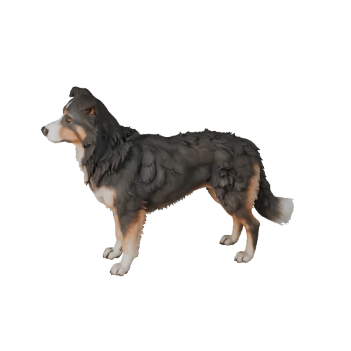 Modelo 3D Realista de Cachorro Border Collie - Asset PBR Rigged para Jogos