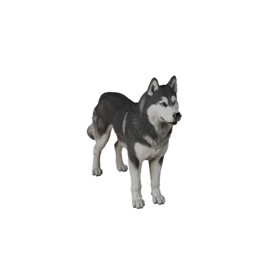 Siberian Husky Dog 3D Model for Blender - PBR Asset with Textures