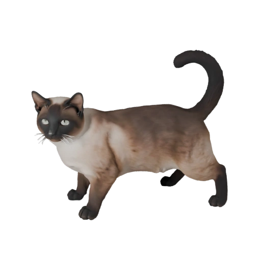 Siamese Cat 3D Model for Unity - Game Ready Asset, FBX | PBR