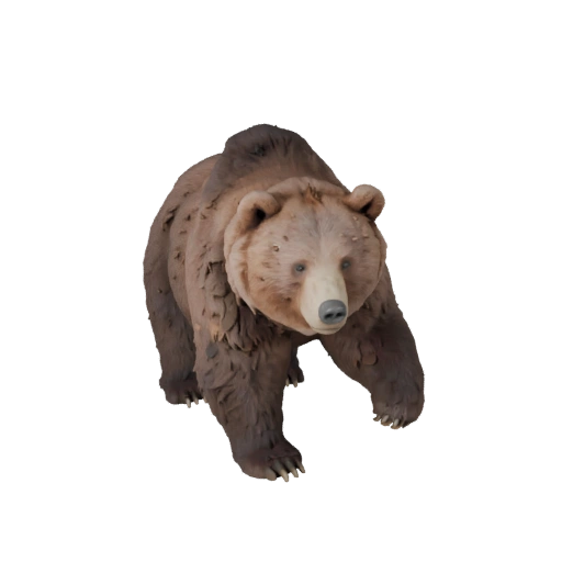 Brown Bear 3D Model for Blender - PBR Asset with Textures | PBR