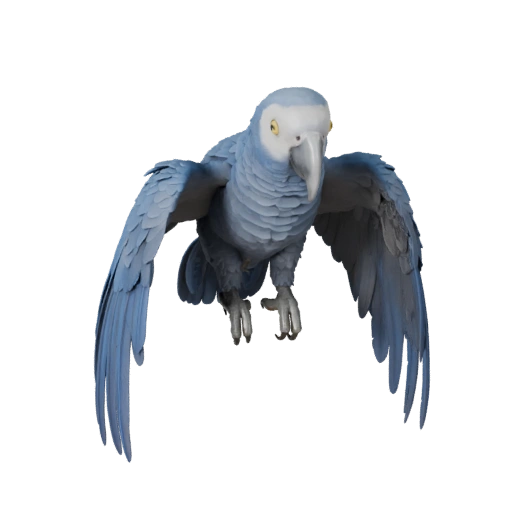 Papagaio-cinzento-africano 3D Model para Unity - Asset Pronto para Jogo, FBX