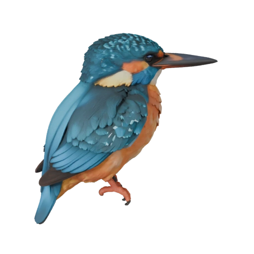 Kingfisher 3D Model for Unity - Game Ready Asset, FBX | Royalty-Free