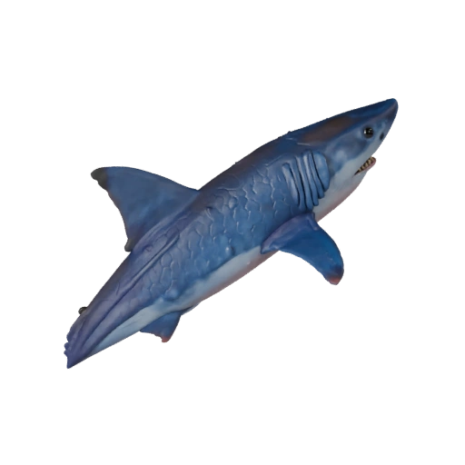 Shark 3D Model for Unity - Game Ready Asset, FBX | Royalty-Free