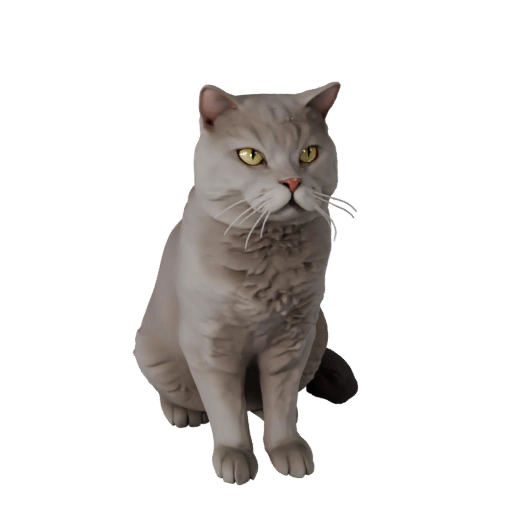 British Shorthair 3D Model for Blender - PBR Asset with Textures