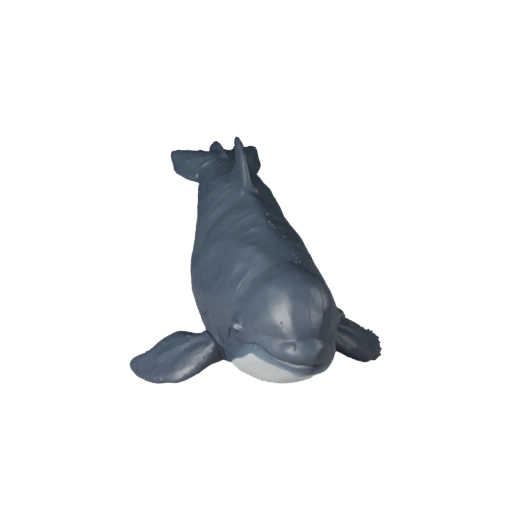Realistic Beluga Whale 3D Model - Rigged PBR Asset for Games