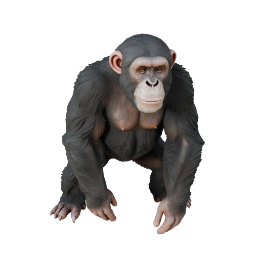 Realistic Chimpanzee 3D Model - Rigged PBR Asset for Games