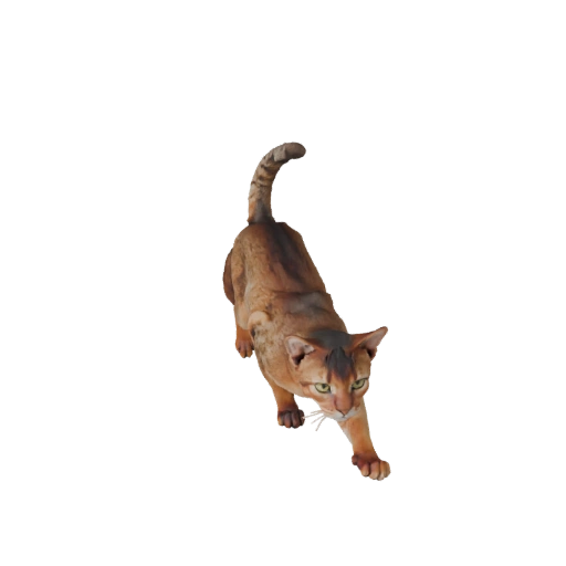 Abyssinian Cat 3D Model for Unity - Game Ready Asset, FBX | PBR