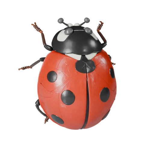 Realistic Ladybug 3D Model - Rigged PBR Asset for Games | PBR