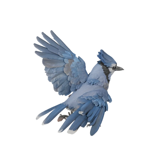 Blue Jay 3D Model for Unity - Game Ready Asset, FBX | Royalty-Free