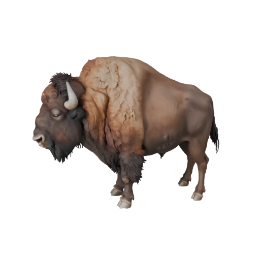 Modèle 3D de Bison réaliste - Asset PBR riggé pour jeux | Libre de droits