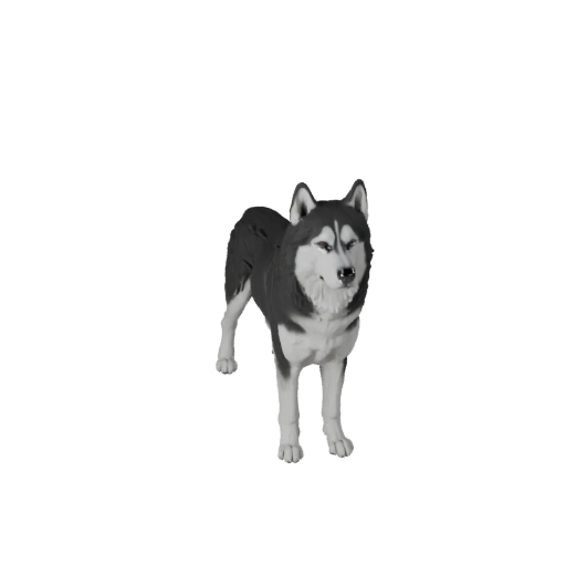 Realistic Siberian Husky Dog 3D Model - Rigged PBR Asset for Games