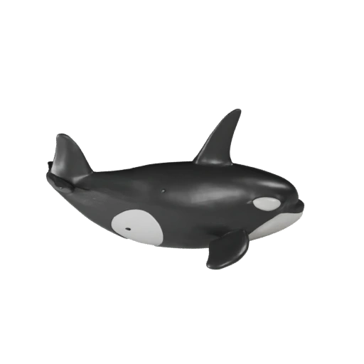 Cartoon Orca 3D Model - Stylized Asset for Animation | Royalty-Free