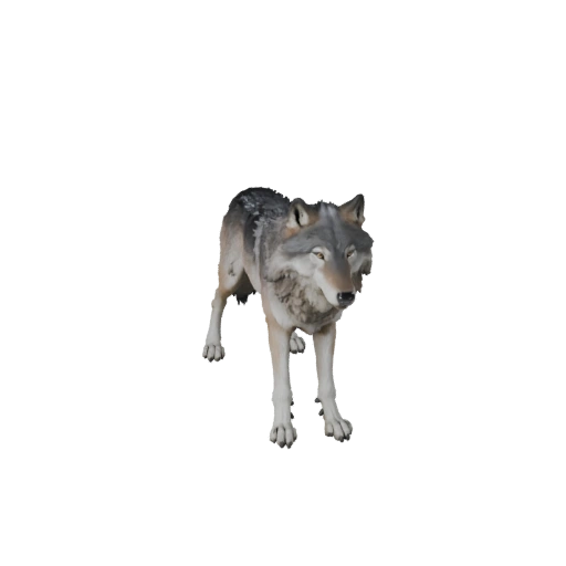 Grauer Wolf 3D Modell für Blender - PBR Asset mit Texturen | PBR