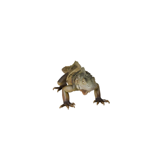 Iguana 3D Model for Blender - PBR Asset with Textures | Royalty-Free