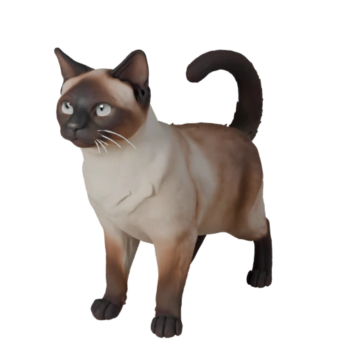 Realistic Siamese Cat 3D Model - Rigged PBR Asset for Games