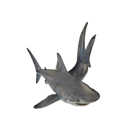 Realistic Hammerhead Shark 3D Model - Rigged PBR Asset for Games