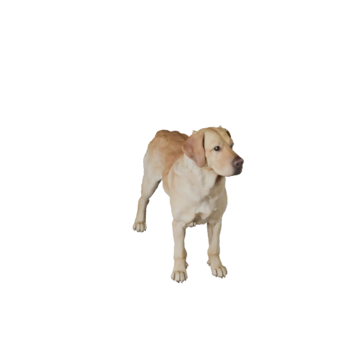 Modelo 3D de Cão Labrador Retriever para Unity - Asset Pronto para Jogo, FBX